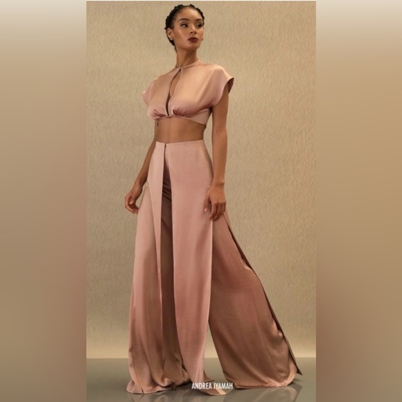 Andrea Iyamah Blush Wide Leg Jumpsuit - Picture 2 of 15